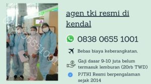 Agen tki resmi ke jepang