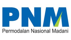 Cara kerja pnm