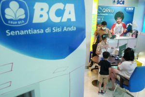 Ppa bca adalah