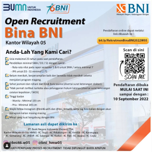 Pengalaman tes magang bina bni