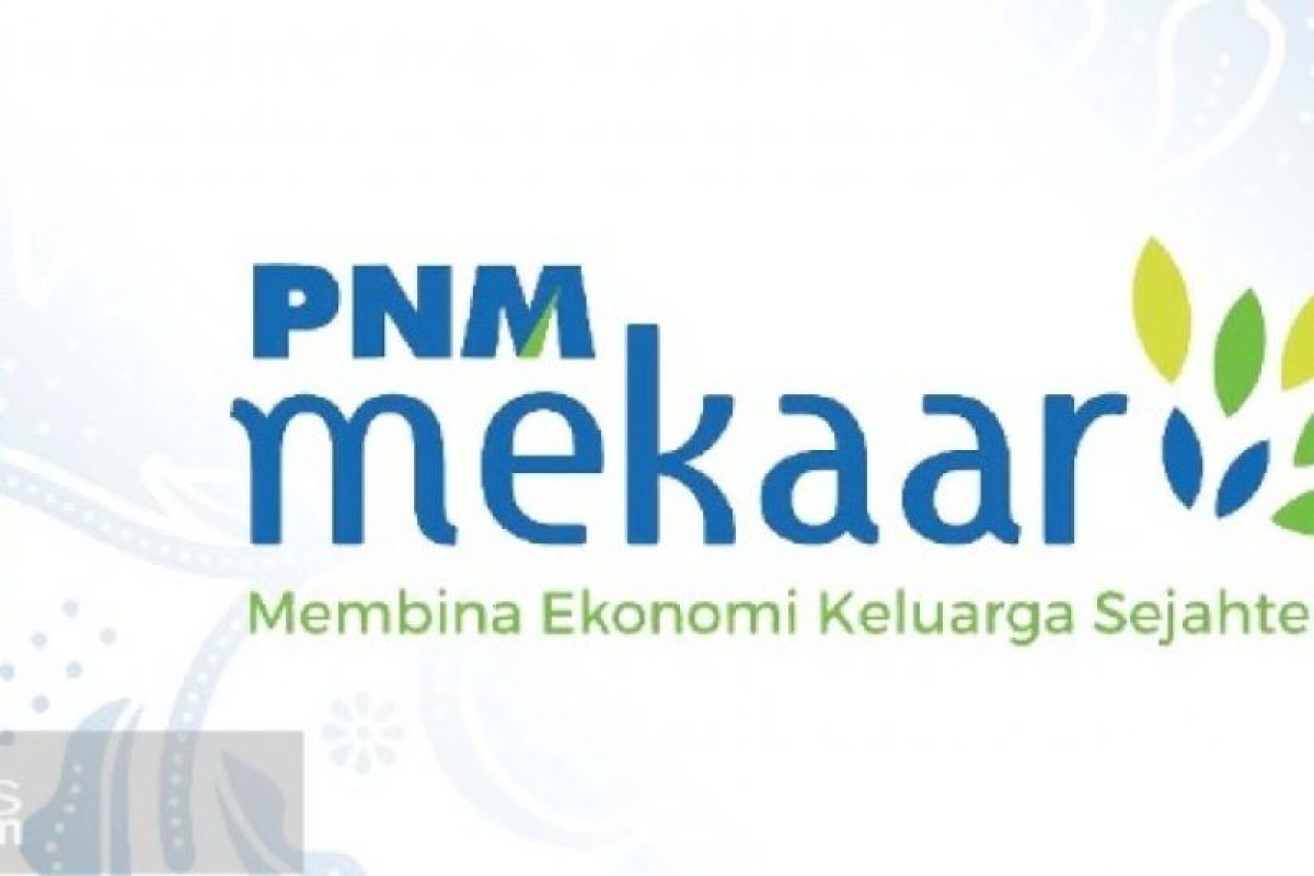 Pt pnm mekar