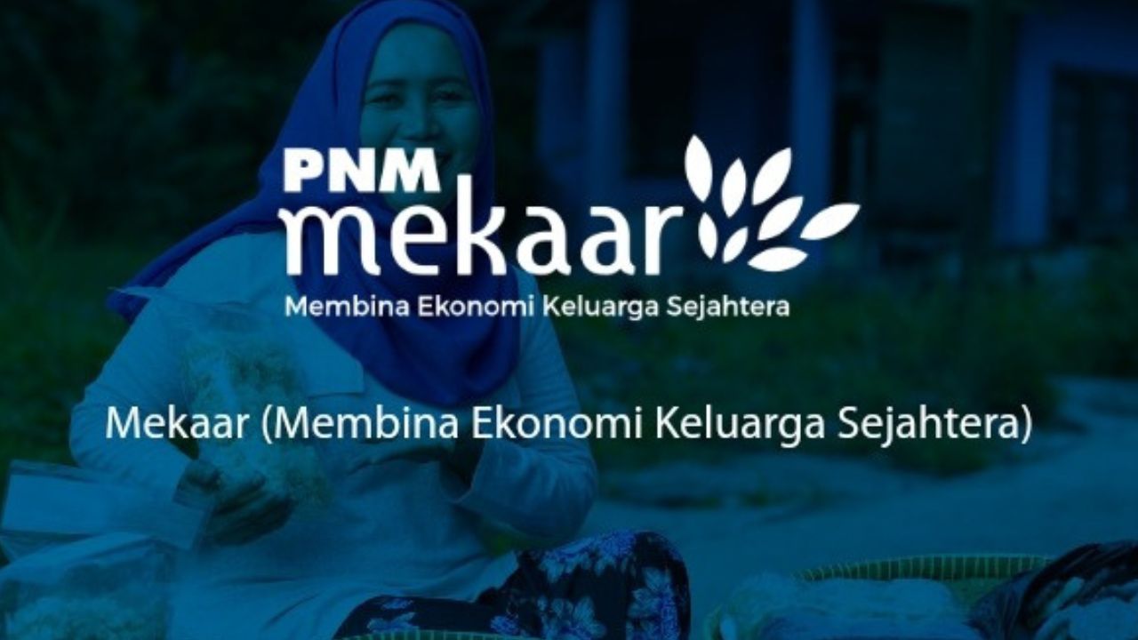 Lowongan kerja pnm