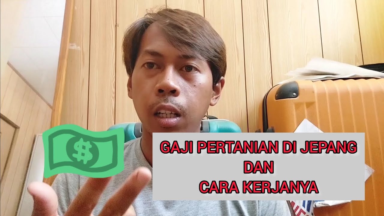 Jepang pertanian industri petani tentang ketahui wajib sayuran